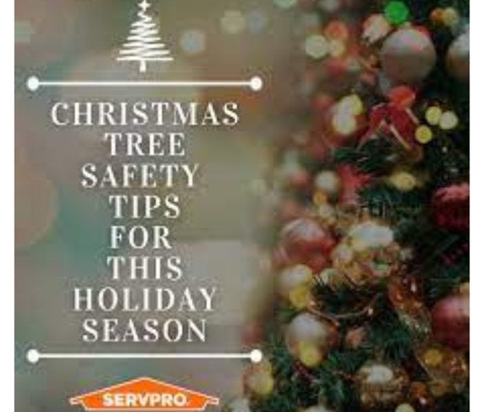 Christmas Tree with SERVPRO logo 